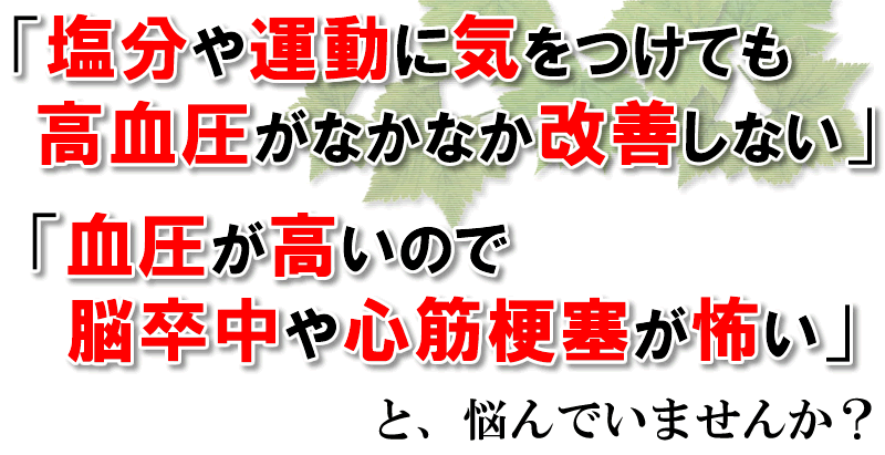 高血圧と診断されてしまったあなたへ・・・